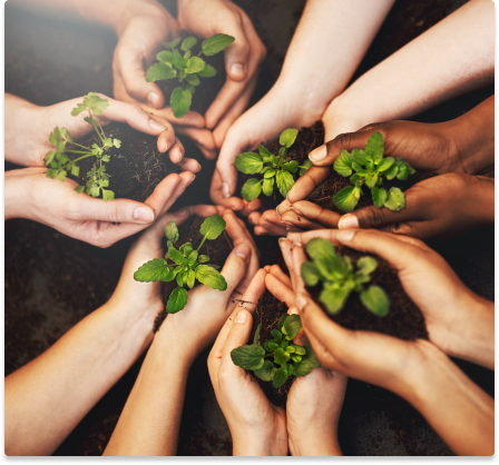 ESG Advisory